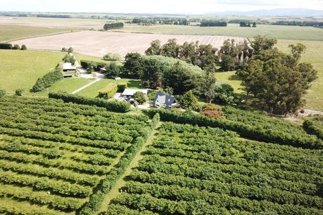 Photo of property in 120 Summerleaze Road, Pareora West, Timaru, 7971