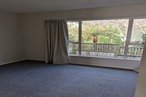 Photo of property in 11/20 Thompson Street, Mount Cook, Wellington, 6011