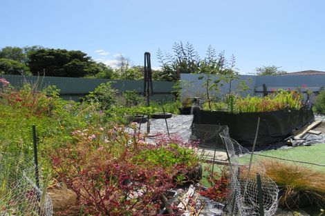 Photo of property in 6 Freyberg Street, Wairoa, 4108