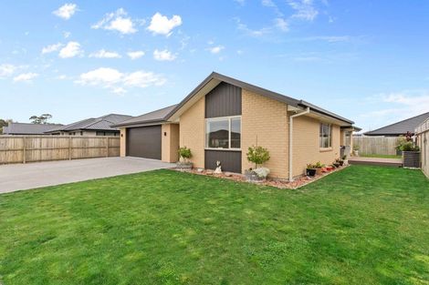 Photo of property in 8 Hoffman Street, Marshland, Christchurch, 8083