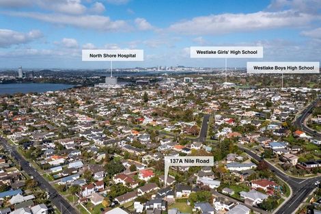 Photo of property in 1/137 Nile Road, Milford, Auckland, 0620