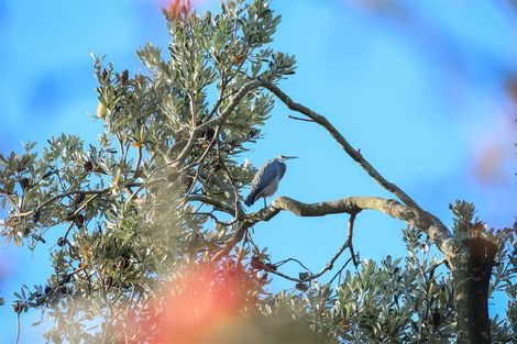 Photo of property in 14 Hillside Heights Road, Huntly, 3771