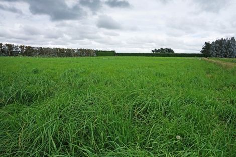 Photo of property in 535 Mill North, Roslyn Bush, Invercargill, 9876