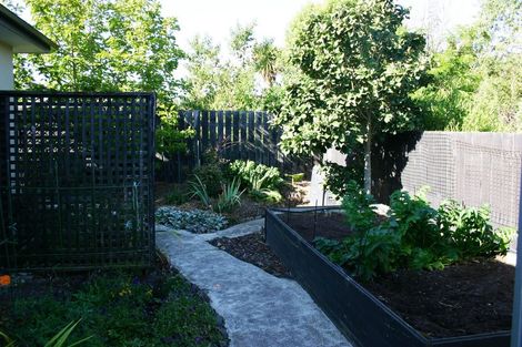 Photo of property in 21 Dame Street, Waikouaiti, 9510