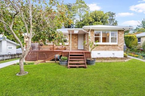 Photo of property in 24a Harrier Street, Parkvale, Tauranga, 3112