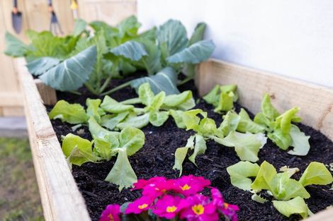 Photo of property in 31a Morrison Avenue, Northcote, Christchurch, 8052