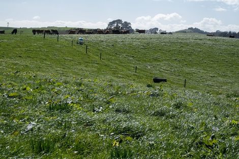 Photo of property in 697 Maungatawhiri Road, Raglan, 3295