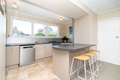 Photo of property in 13 Sherwood Drive, Pukete, Hamilton, 3200