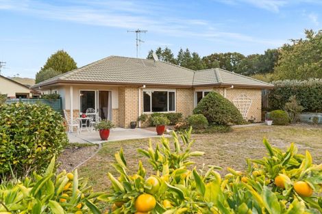 Photo of property in 16 Mcleod Place, Papamoa Beach, Papamoa, 3118