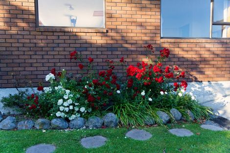 Photo of property in 283b Scarborough Street, Kaikoura, 7300