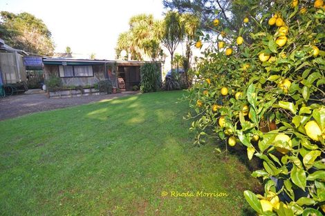 Photo of property in 11 Moana Road, Tinopai, Matakohe, 0593