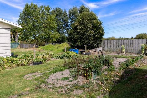 Photo of property in 41 Caesar Roose Place, Huntly, 3700