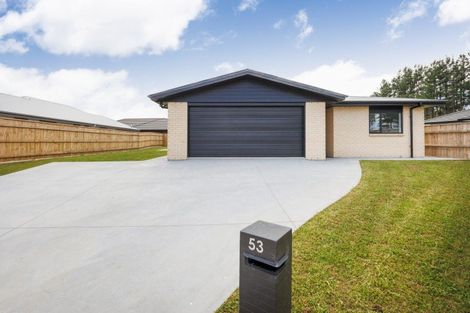 Photo of property in 53 Hereford Street, Marton, 4710