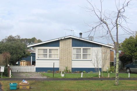 Photo of property in 82 Fitzroy Avenue, Fitzroy, Hamilton, 3206
