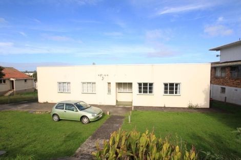 Photo of property in 355 Mount Albert Road, Mount Roskill, Auckland, 1041