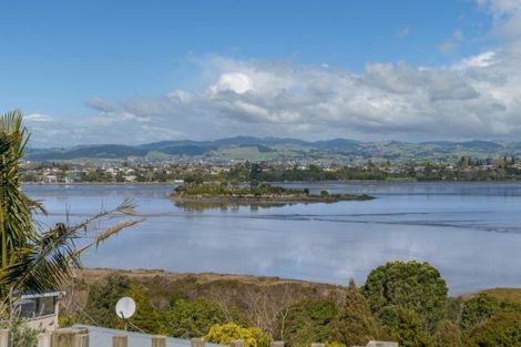 Photo of property in 142b Grange Road, Otumoetai, Tauranga, 3110