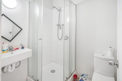 Photo of property in 102 Newcastle Road, Dinsdale, Hamilton, 3204