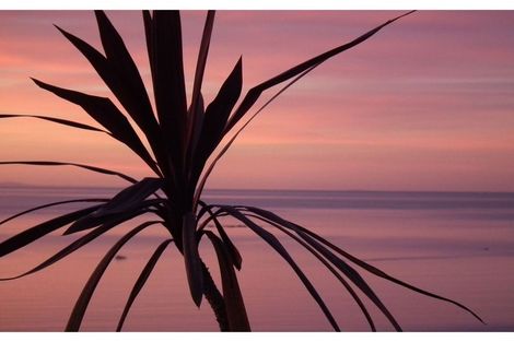 Photo of property in 112 Pope Street, Camborne, Porirua, 5026