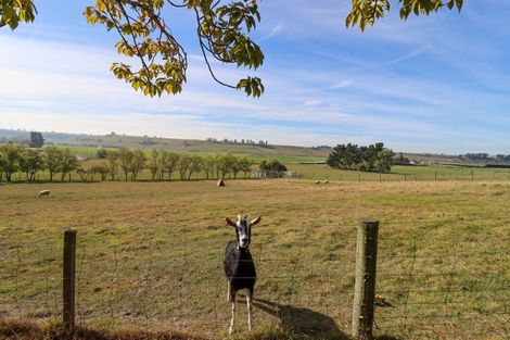 Photo of property in 48 Guscott Road, Pareora West, Timaru, 7972