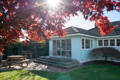 Photo of property in 34 Campbell Street, Leamington, Cambridge, 3432