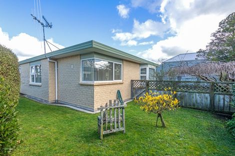 Photo of property in 174b Manchester Street, Feilding, 4702