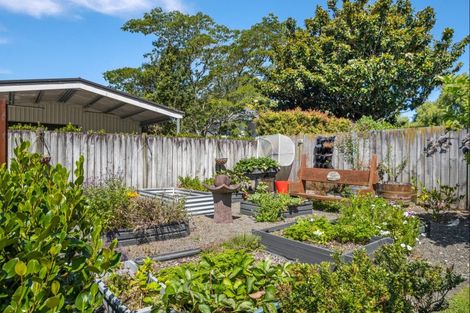 Photo of property in 11 Dryden Street, Whataupoko, Gisborne, 4010