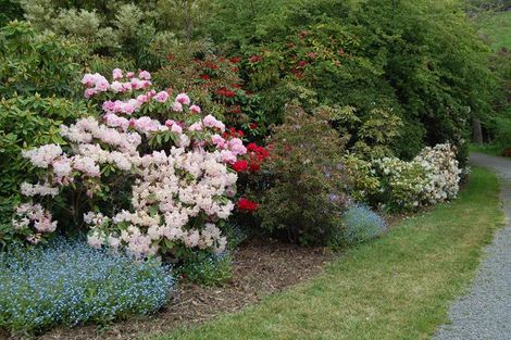 Photo of property in 430 Cape Foulwind Road, Carters Beach, Westport, 7892