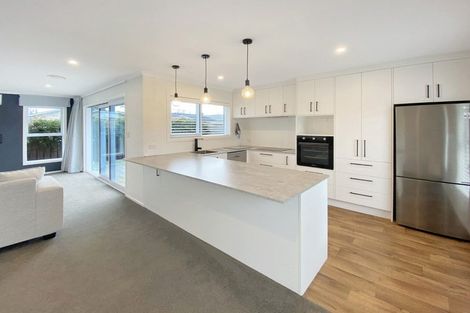 Photo of property in 53b Argyle Avenue, Takaro, Palmerston North, 4410