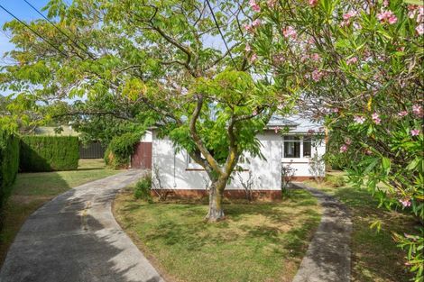 Photo of property in 9 Rogers Street, Blenheim, 7201