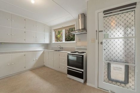 Photo of property in 10 Thorp Street, Paeroa, 3600