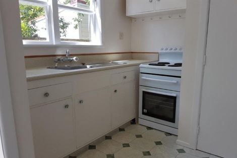 Photo of property in 117 Aro Street, Aro Valley, Wellington, 6021