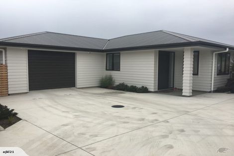 Photo of property in 11a Newhaven Place, Roslyn, Palmerston North, 4414