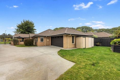 Photo of property in 194 Carmichael Road, Bethlehem, Tauranga, 3110