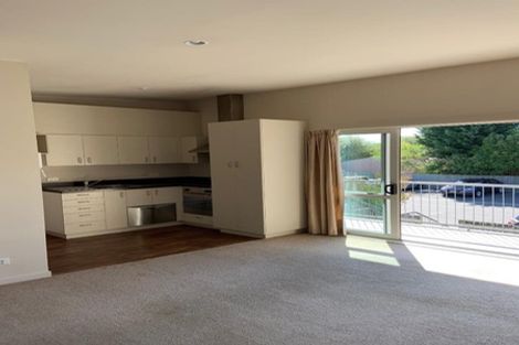 Photo of property in 10/31 Bordesley Street, Phillipstown, Christchurch, 8011