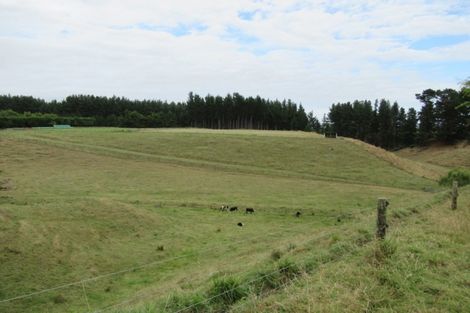 Photo of property in 81 Lindsay Road, Levin, 5510