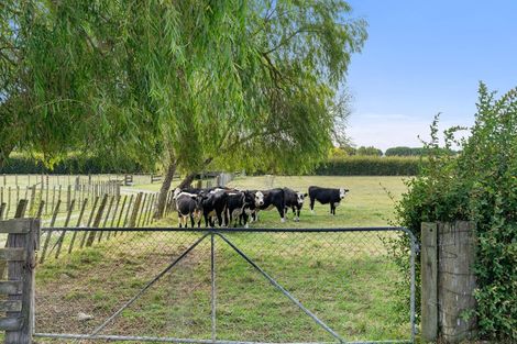 Photo of property in 77 Bruce Road, Levin, 5510