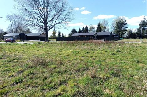 Photo of property in 24 Strawberry Place, Geraldine, 7930