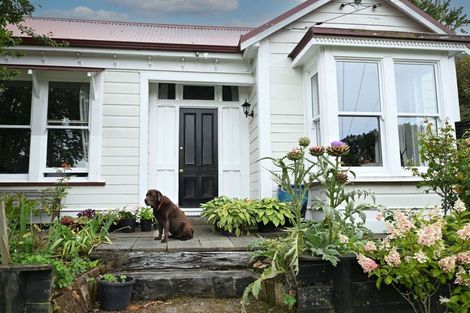 Photo of property in 28 Ward Road, Cheviot, 7310