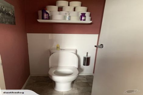 Photo of property in 81 Selwyn Street, Appleby, Invercargill, 9812