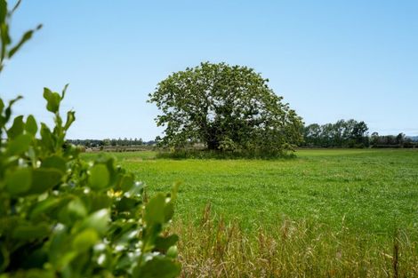 Photo of property in 3126 Cambridge Road, Rotoorangi, Cambridge, 3495