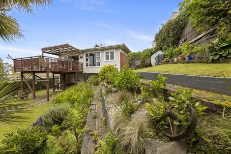 Photo of property in 119 Mornington Road, Kenmure, Dunedin, 9011