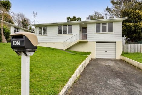 Photo of property in 103 Riversdale Drive, Merrilands, New Plymouth, 4312