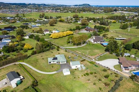 Photo of property in 99 Hansen Road, Makauri, Gisborne, 4071