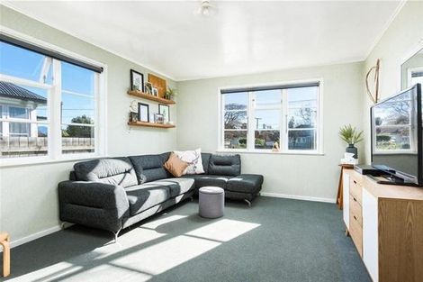 Photo of property in 20 Graham Street, Blenheim, 7201