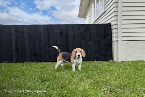 Photo of property in 45 Sunnyside Road, Sunnyvale, Auckland, 0612