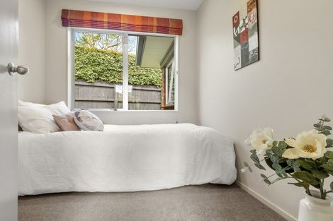 Photo of property in 14b Karetu Road, Greenlane, Auckland, 1051
