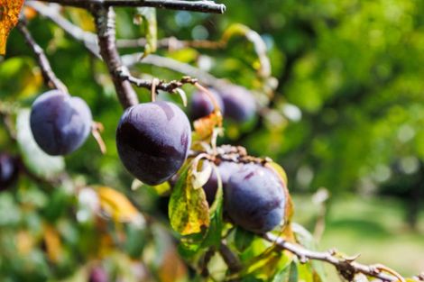 Photo of property in 1498 Napier Road, Ashhurst, 4810