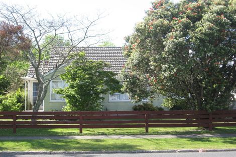 Photo of property in 49 Collins Street, Te Hapara, Gisborne, 4010