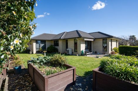 Photo of property in 62 Raleigh Street, Leamington, Cambridge, 3432