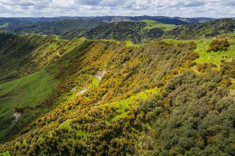 Photo of property in 987 Mangaehu Road, Puniwhakau, Stratford, 4392